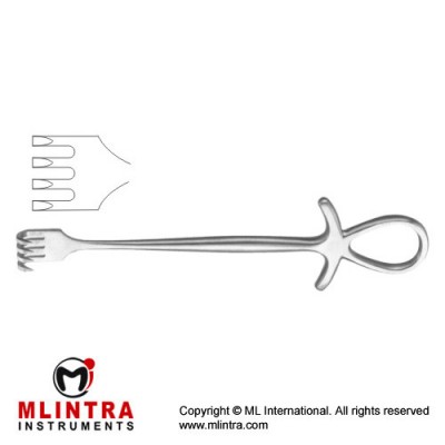 Murphy Retractor 4 Sharp Prongs Stainless Steel, 19.5 cm - 7 3/4"